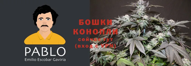 Конопля THC 21%  Серафимович 